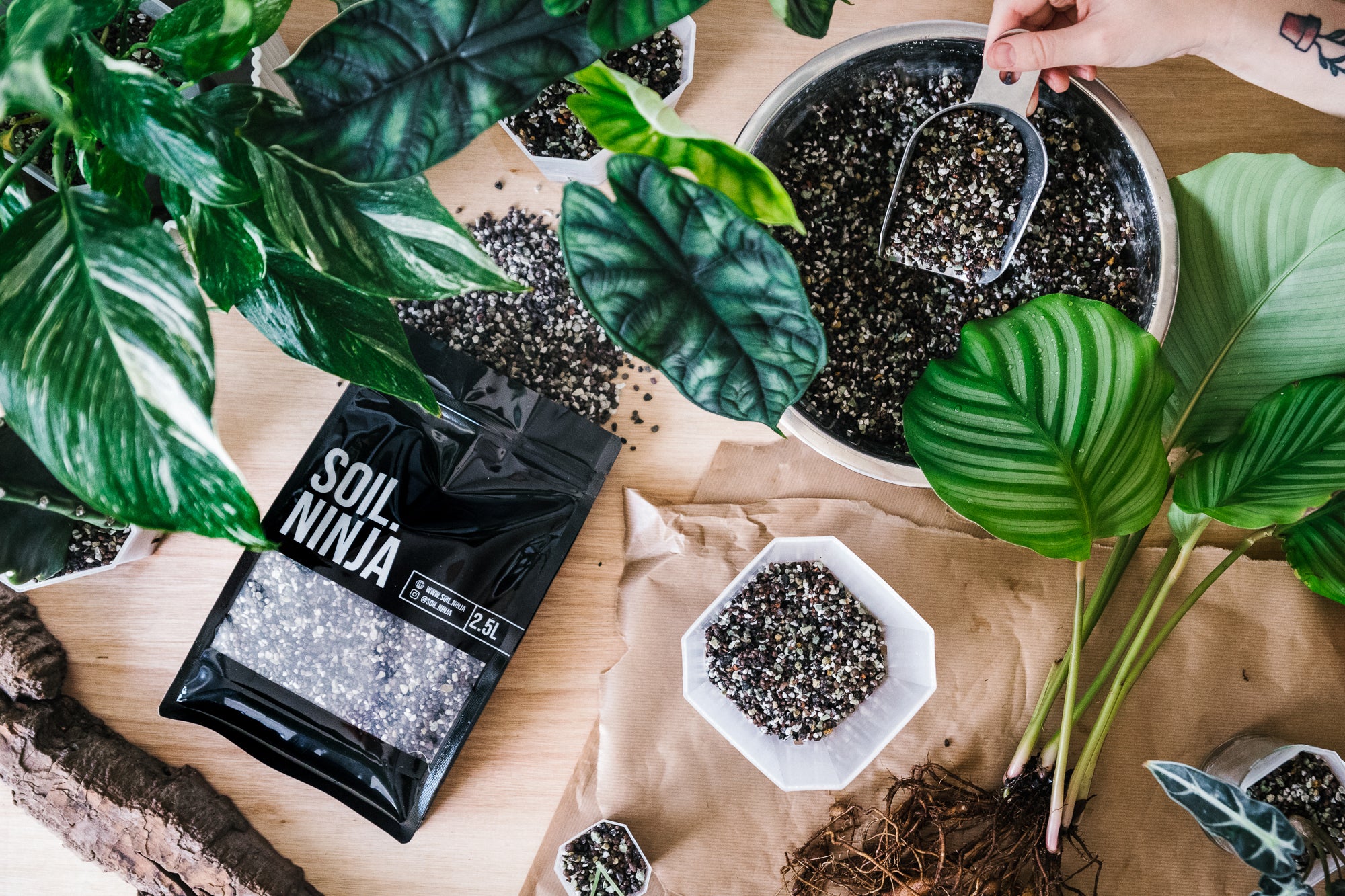 Give Your Plants The Dirt They Deserve – Soil Ninja