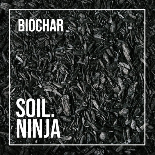 Biochar