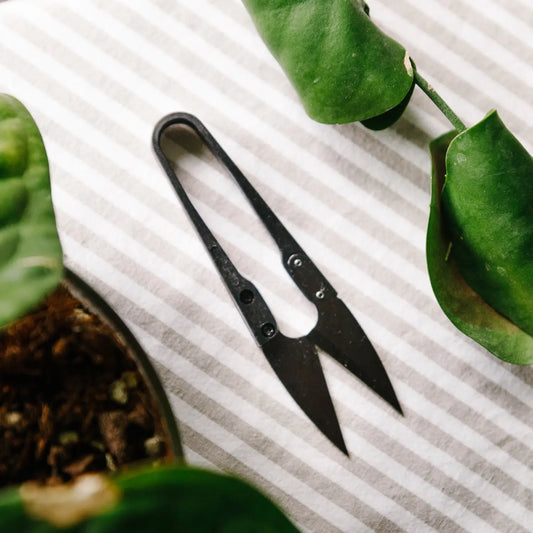 Houseplant Snips