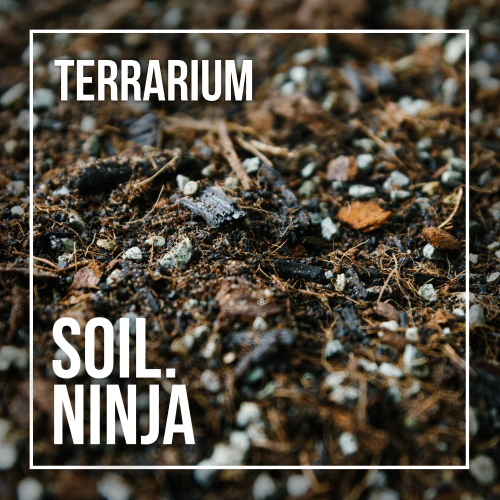 Premium Terrarium Blend